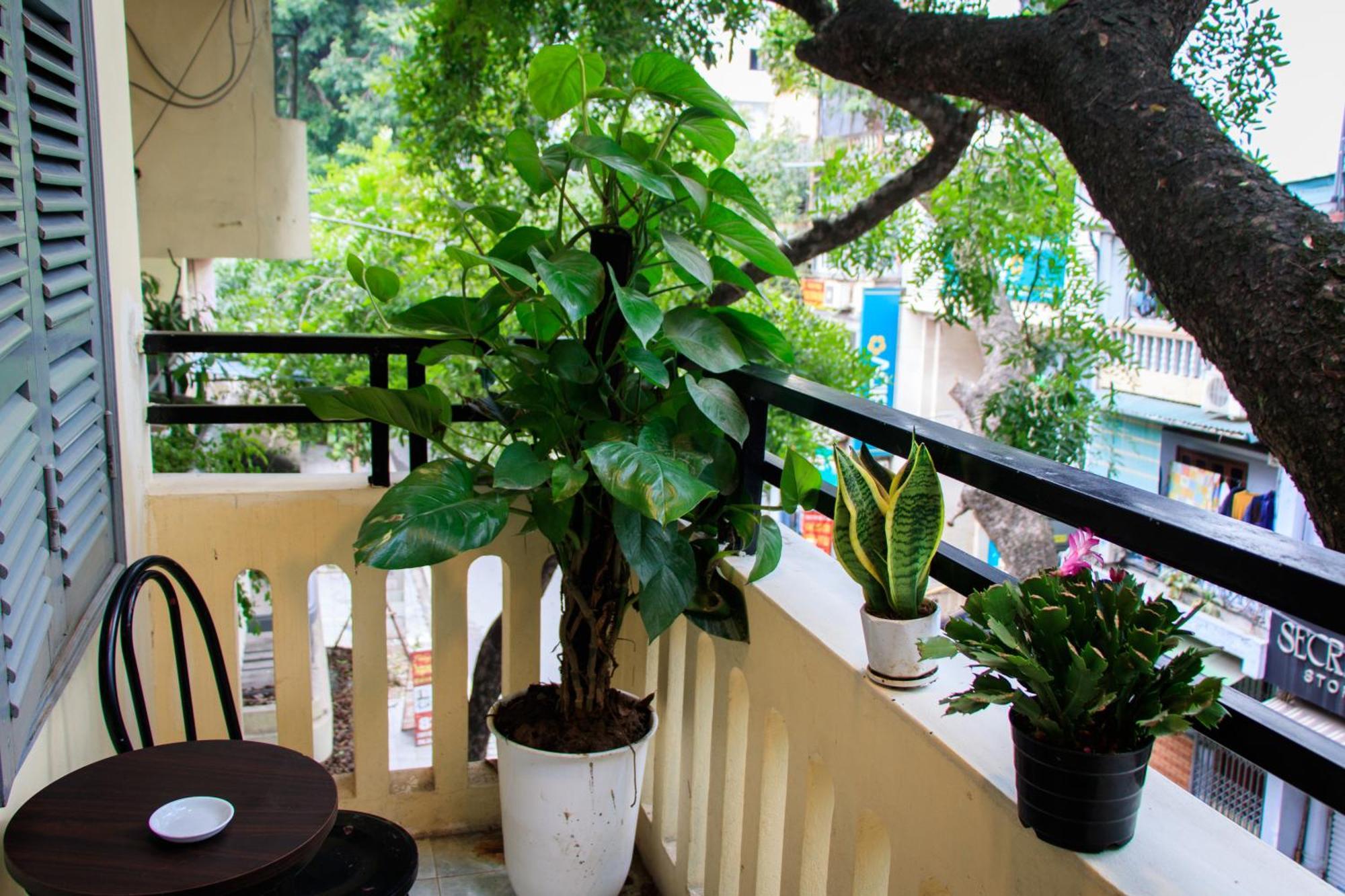 Hanoi Family Homestay Екстериор снимка