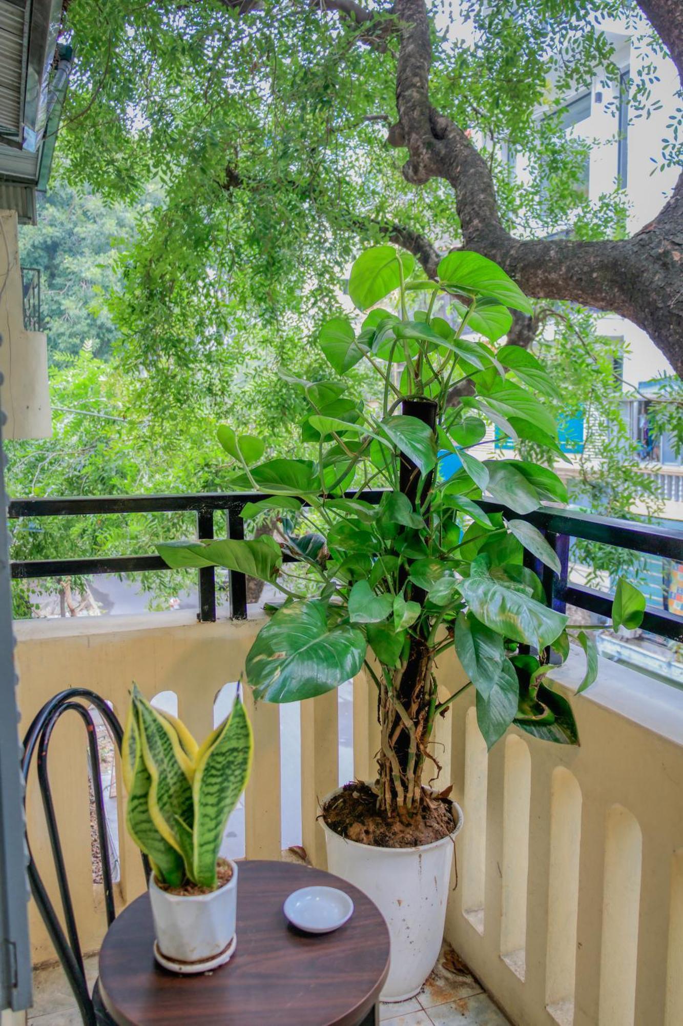 Hanoi Family Homestay Екстериор снимка